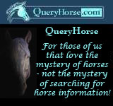 The Search Engine for the World of Horses