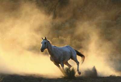 Kickin Up Dust!