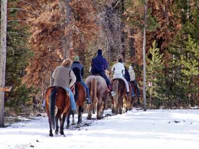 Winter Trail Ride